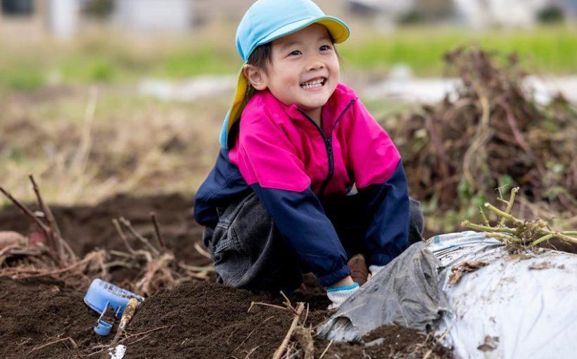 「保育園の写真販売が高い」と言われないために！適正価格や費用を抑えるコツを解説